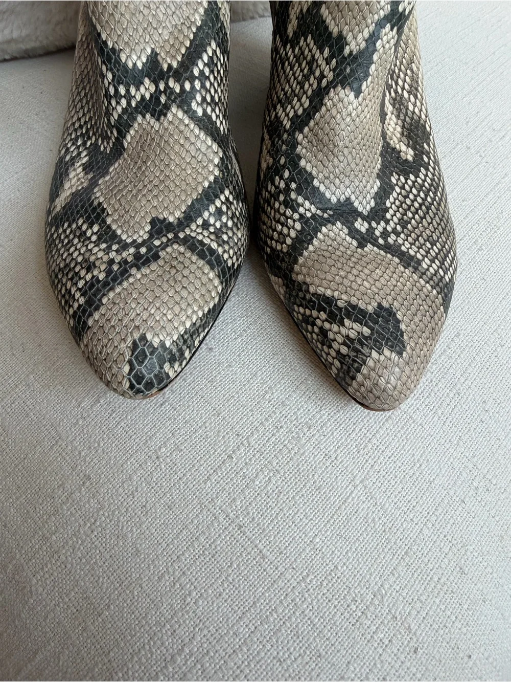 Dolce Vita Snake-Print Ankle Booties in Neutral Tones size 10 boots